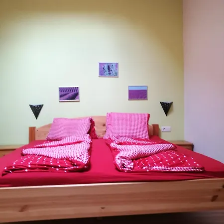 Mosenbauer Salzburg Apartment *