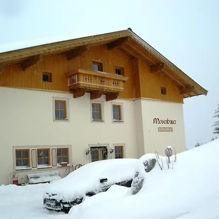 Mosenbauer Salzburg Apartment